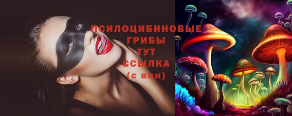 гидропоника Заречный