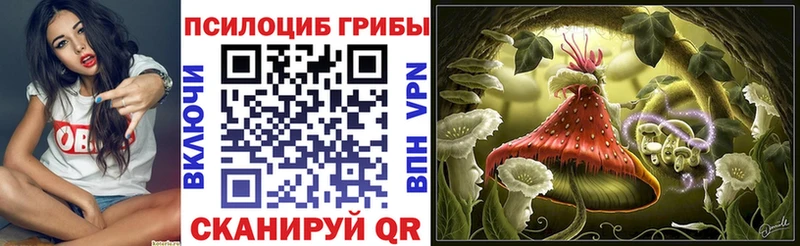Псилоцибиновые грибы Magic Shrooms  наркошоп  Кизляр 
